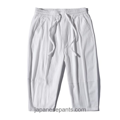 Classic Cozy Summer Japan Style Short 5