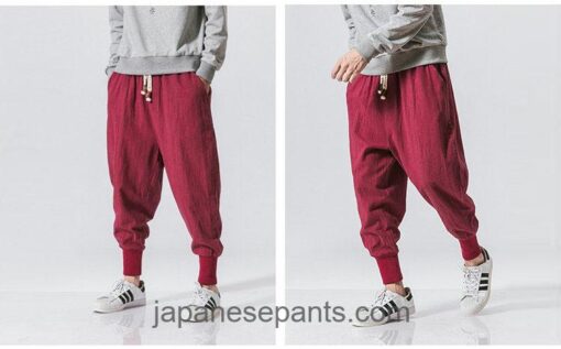 Casual Streetwear Japanese Harem Pants 17